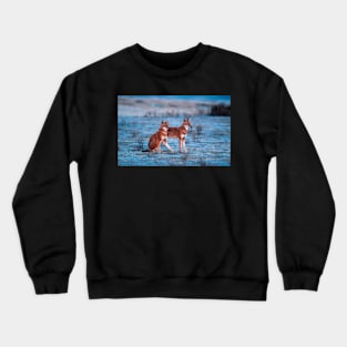 Red fox-amazing picture Crewneck Sweatshirt